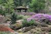 gazebo scene